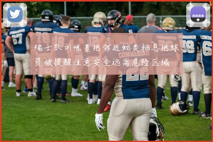 瑞士队训练基地邻近蛇类栖息地球员被提醒注意安全远离危险区域